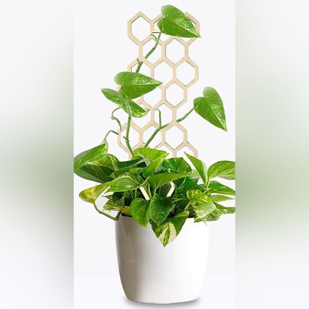 Mini Trellis 